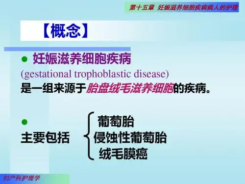 滋养细胞