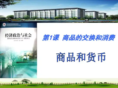 经济政治与社会第一课PPT
