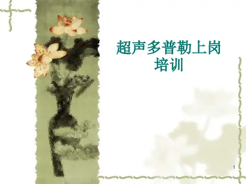 彩超PPT学习课件