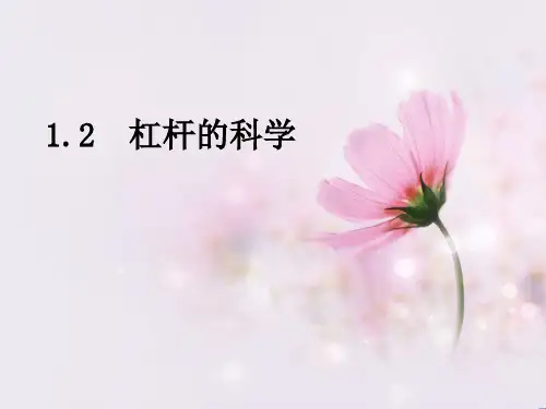 六年级科学上册浙教版12-杠杆的科学教材
