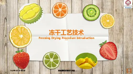 冻干工艺简介