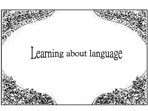高二英语learning-about-language课件