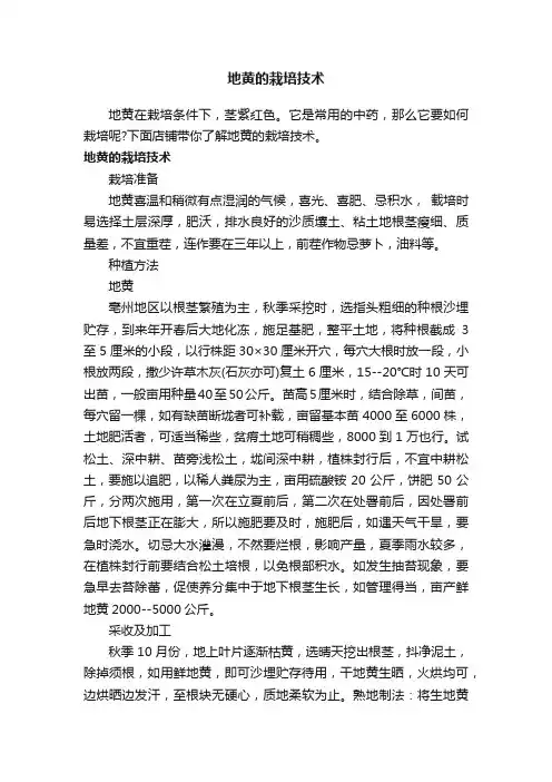 地黄的栽培技术