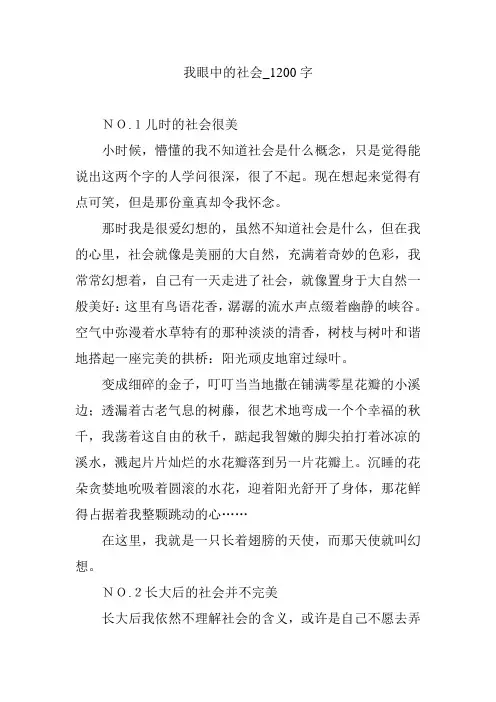 我眼中的社会_1200字