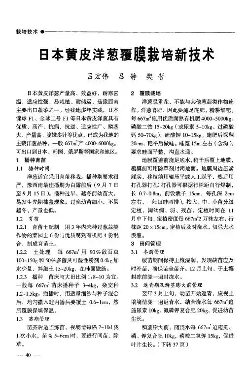 日本黄皮洋葱覆膜栽培新技术