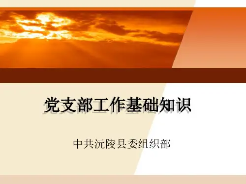 党支部工作基础知识
