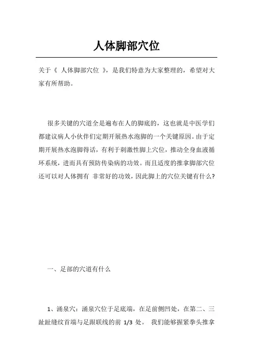 人体脚部穴位