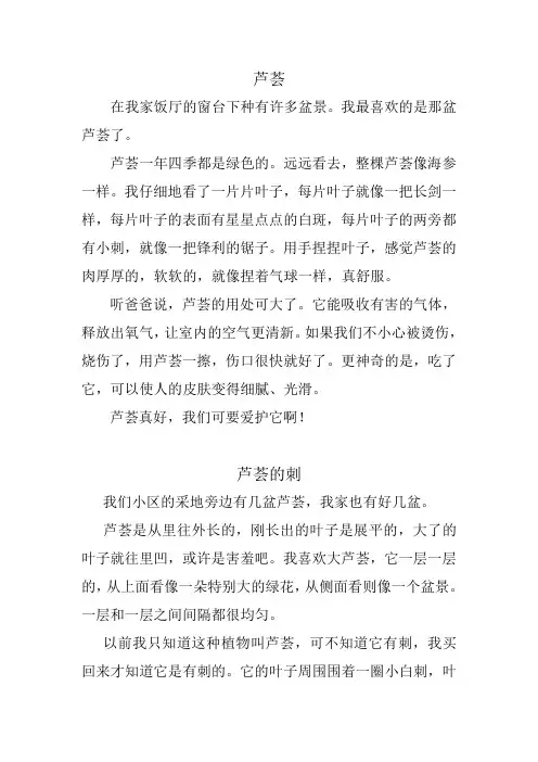 芦荟作文