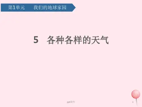 二年级科学上册我们的地球家园5各种各样的天气课件教科版