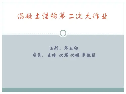 大作业二ppt课件