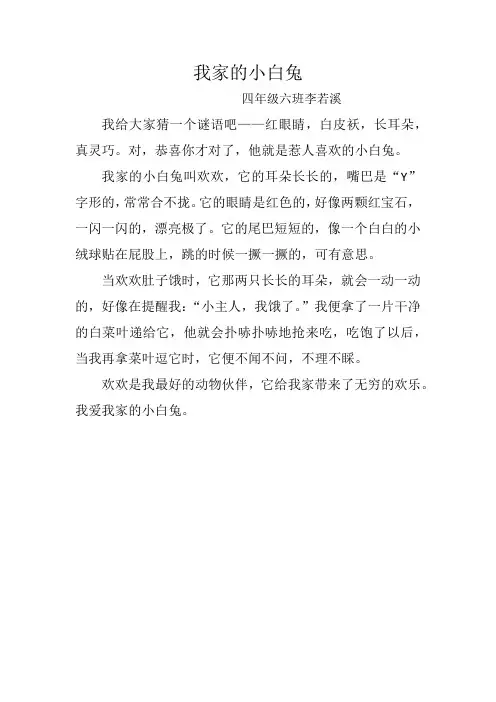 我家的小白兔