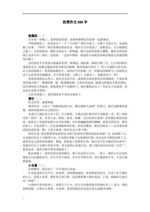 优秀作文500字