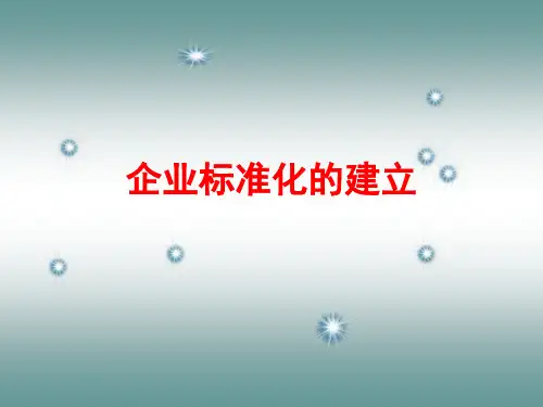 企业标准化试点讲义