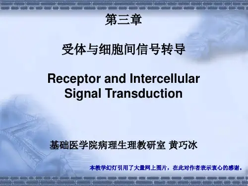 受体及其细胞信号转导