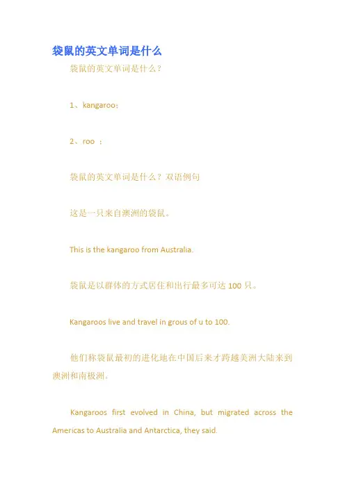 袋鼠的英文单词是什么