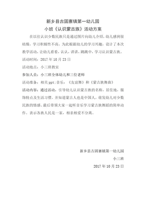 民族文化方案总结