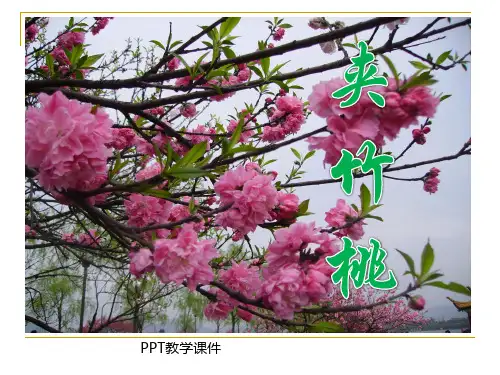 夹竹桃(1)PPT课件