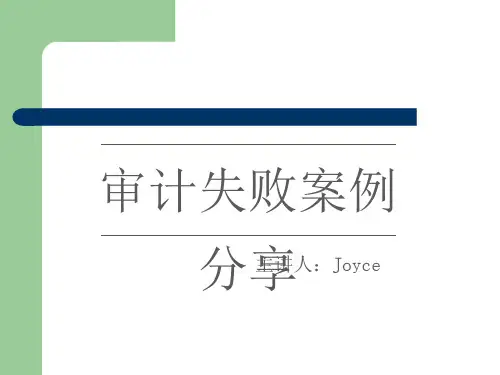 审计失败案例