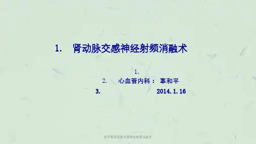 经导管肾动脉交感神经射频消融术课件