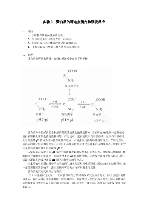 蛋白质的等电点测定和沉淀反应