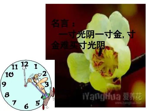 北师大版数学四年级下册《优化》课件
