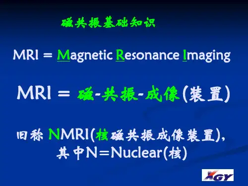 MRI的基本原理和概念