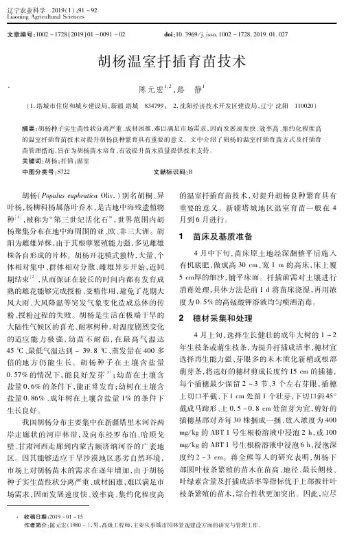 胡杨温室扦插育苗技术