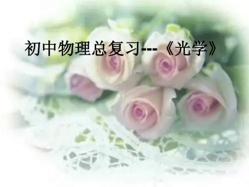 初三物理光学复习课件