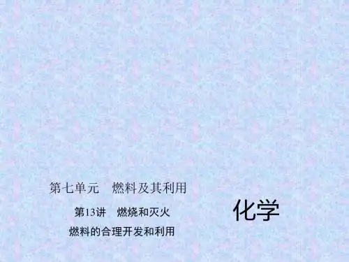 2016中考化学复习第七单元 燃料及其利用 第13讲 燃烧和灭火 燃料的合理开发和利用