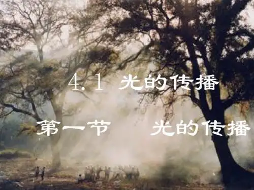 沪教版上海科技版八年级物理 4.1光的传播 PPT课件
