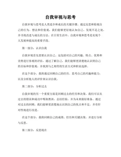 自我审视与思考