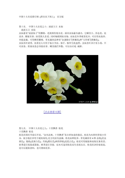 中国十大名花排行榜 2