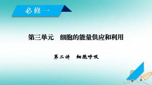 2019高考生物一轮总复习第三单元细胞的能量供应和利用第2讲细胞呼吸课件新人教版必修