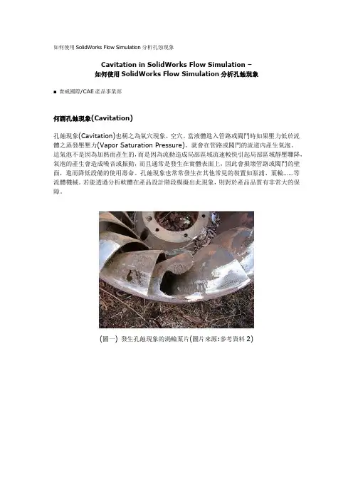 如何使用SolidWorks Flow Simulation分析孔蚀现象