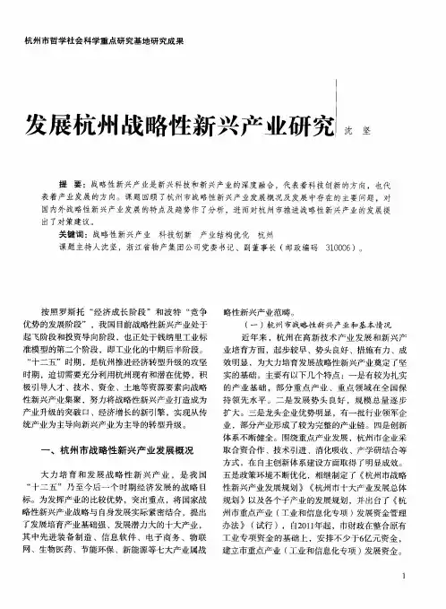 发展杭州战略性新兴产业研究