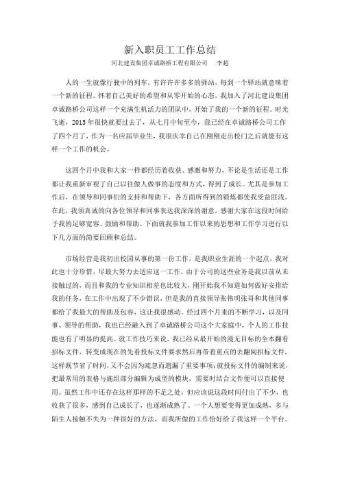 新入职员工工作总结