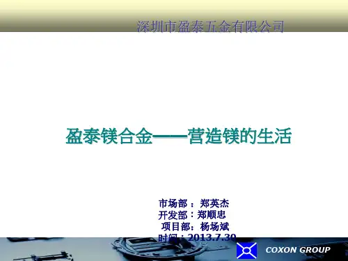 纳米注塑NMT工艺介绍