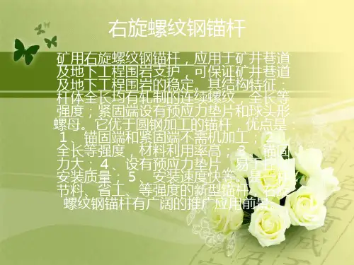 右旋螺纹钢锚杆