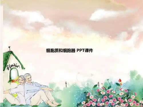 细胞质和细胞器 PPT课件