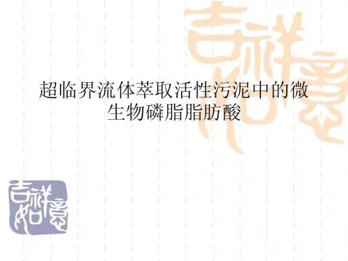 超临界流体萃取活