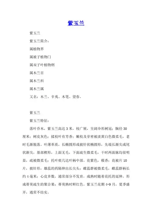紫玉兰-养殖技术