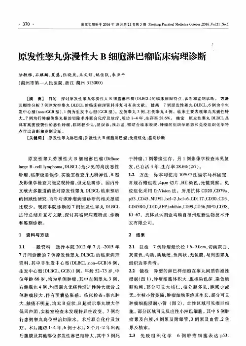 原发性睾丸弥漫性大B细胞淋巴瘤临床病理诊断
