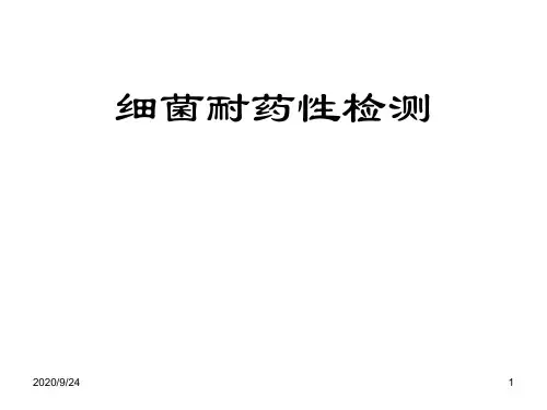 细菌耐药性检测