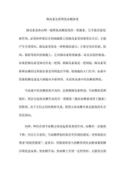 【课外阅读】胰岛素怎样降低血糖浓度