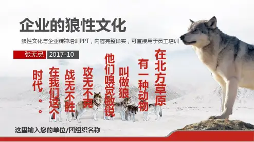 企业的狼性文化【顶级版】