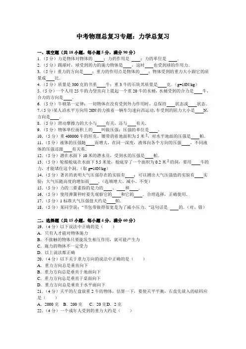 中考物理总复习专题：力学总复习