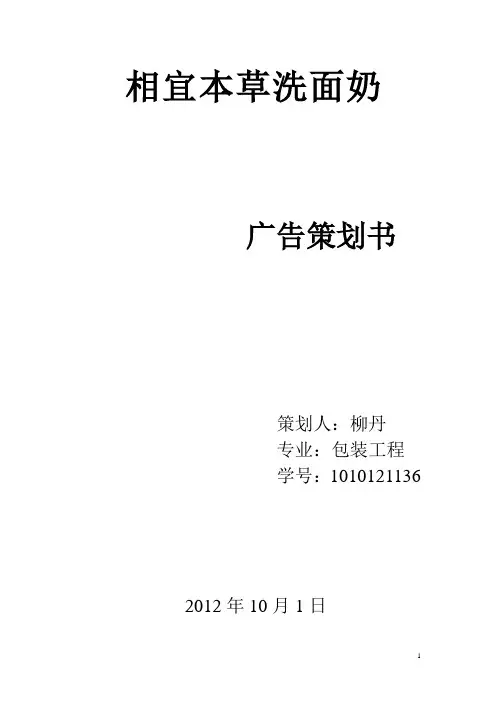 广告策划书 2