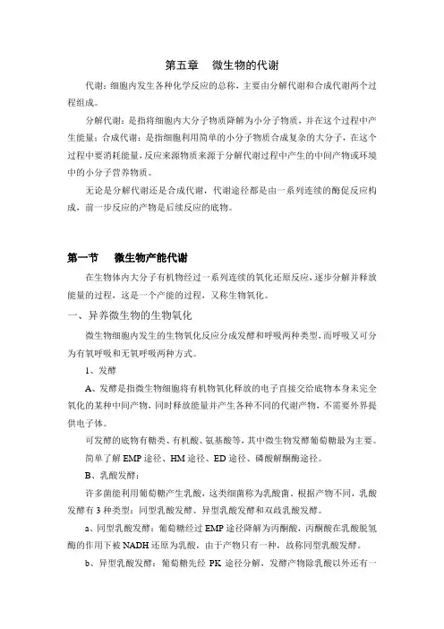 微生物的代谢