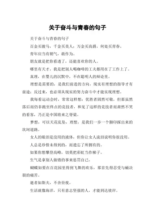关于奋斗与青春的句子