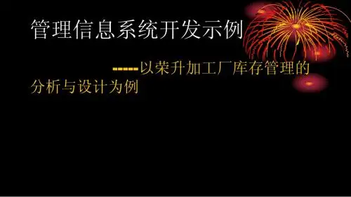 管理信息系统报告
